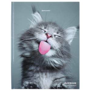 Дневник ст .кл. 